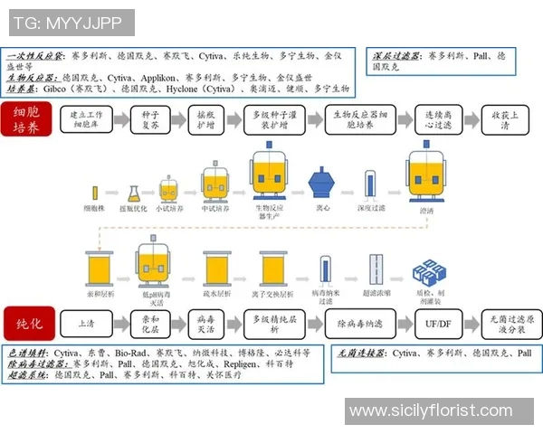 波鸿与维尔的较量分析及双方近期状态对比探讨