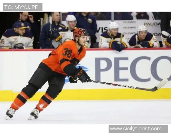 NHL首都人对决金骑士精彩赛事回顾与分析 NHL首都人对决金骑士精彩赛事回顾与分析