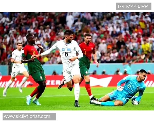 2014年世界杯葡萄牙与法国激战回顾及精彩瞬间分析 2014年世界杯葡萄牙与法国激战回顾及精彩瞬间分析