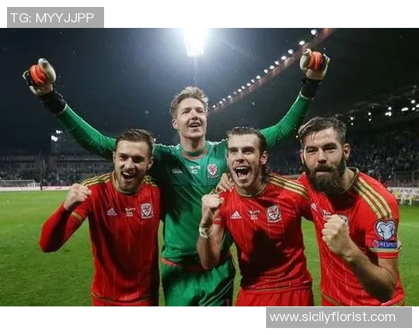 威尔士与芬兰比赛数据分析及历史交锋记录详解