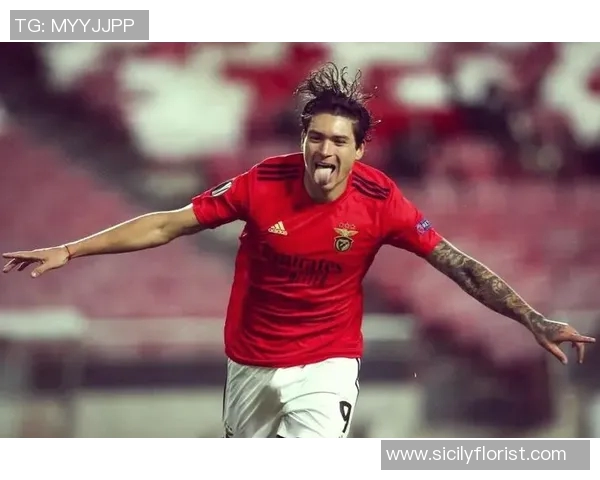 努涅斯的崛起与挑战:解析这位新星在足球世界的影响力与未来潜力 努涅斯的崛起与挑战:解析这位新星在足球世界的影响力与未来潜力