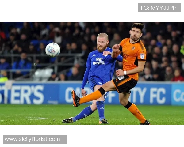 伯明翰与德比郡比赛前瞻分析及双方近期状态对比探讨